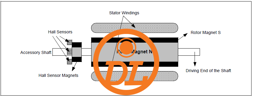 dc motor 05